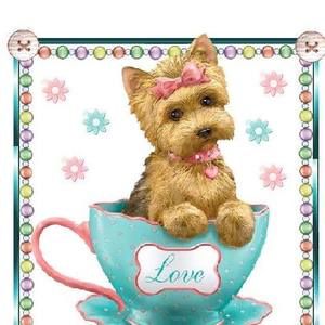 Meet your Posher, Brenda